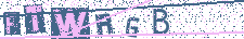Type the letters shown in the picture