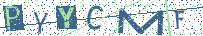 Type the letters shown in the picture